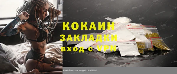 PSILOCYBIN Осинники