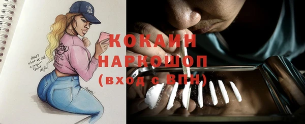 PSILOCYBIN Осинники