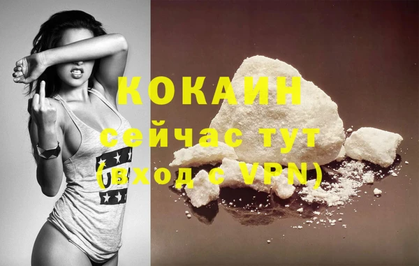 PSILOCYBIN Осинники